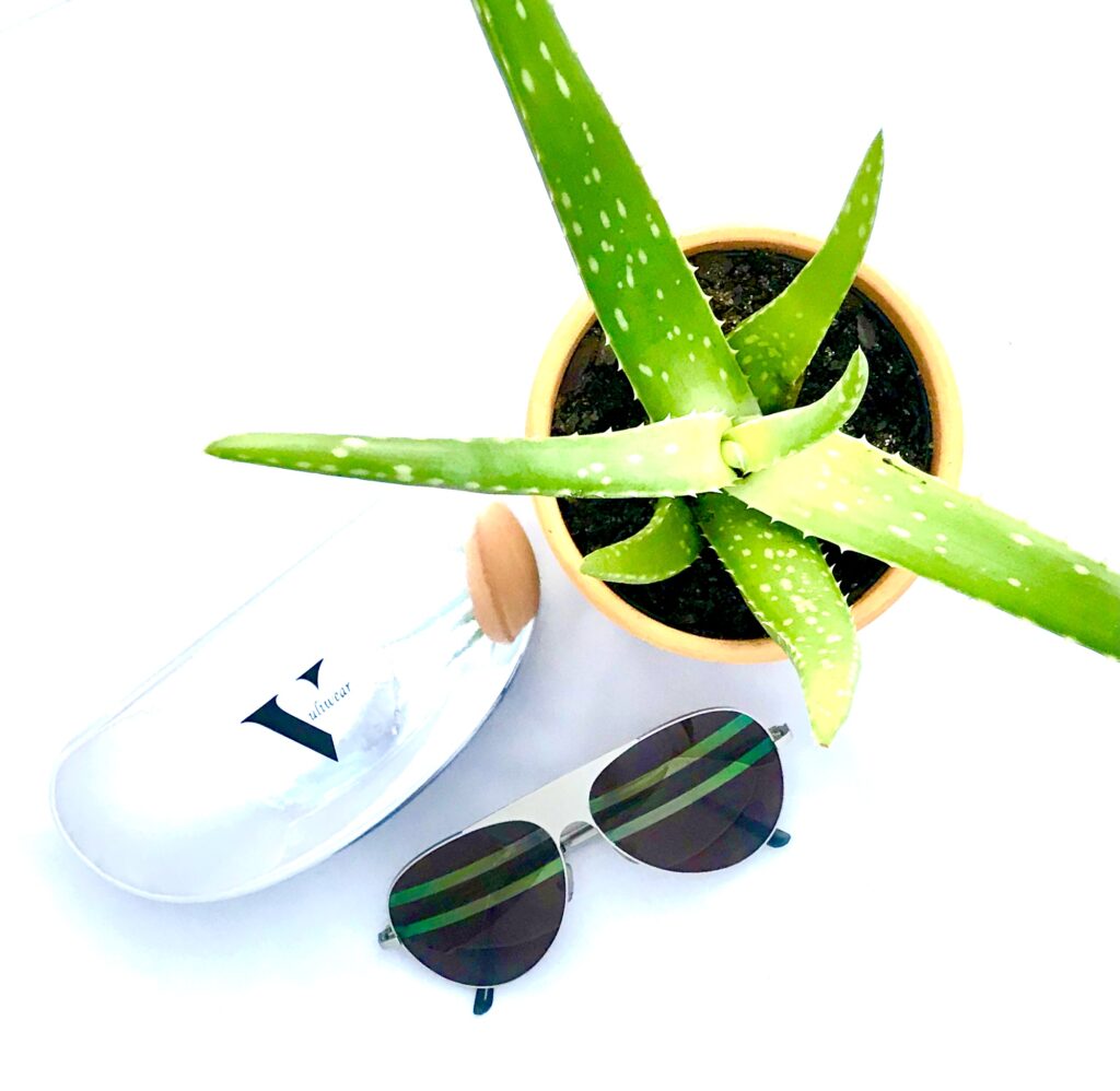 A plant and a Vuliwear sunglasses