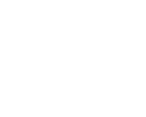 Vuliwear logo