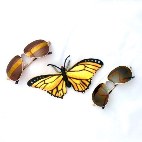 Sunglasses and a butterfly  